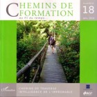 Chemins de traverse - Intelligence de l’improbable - A S I H V I F